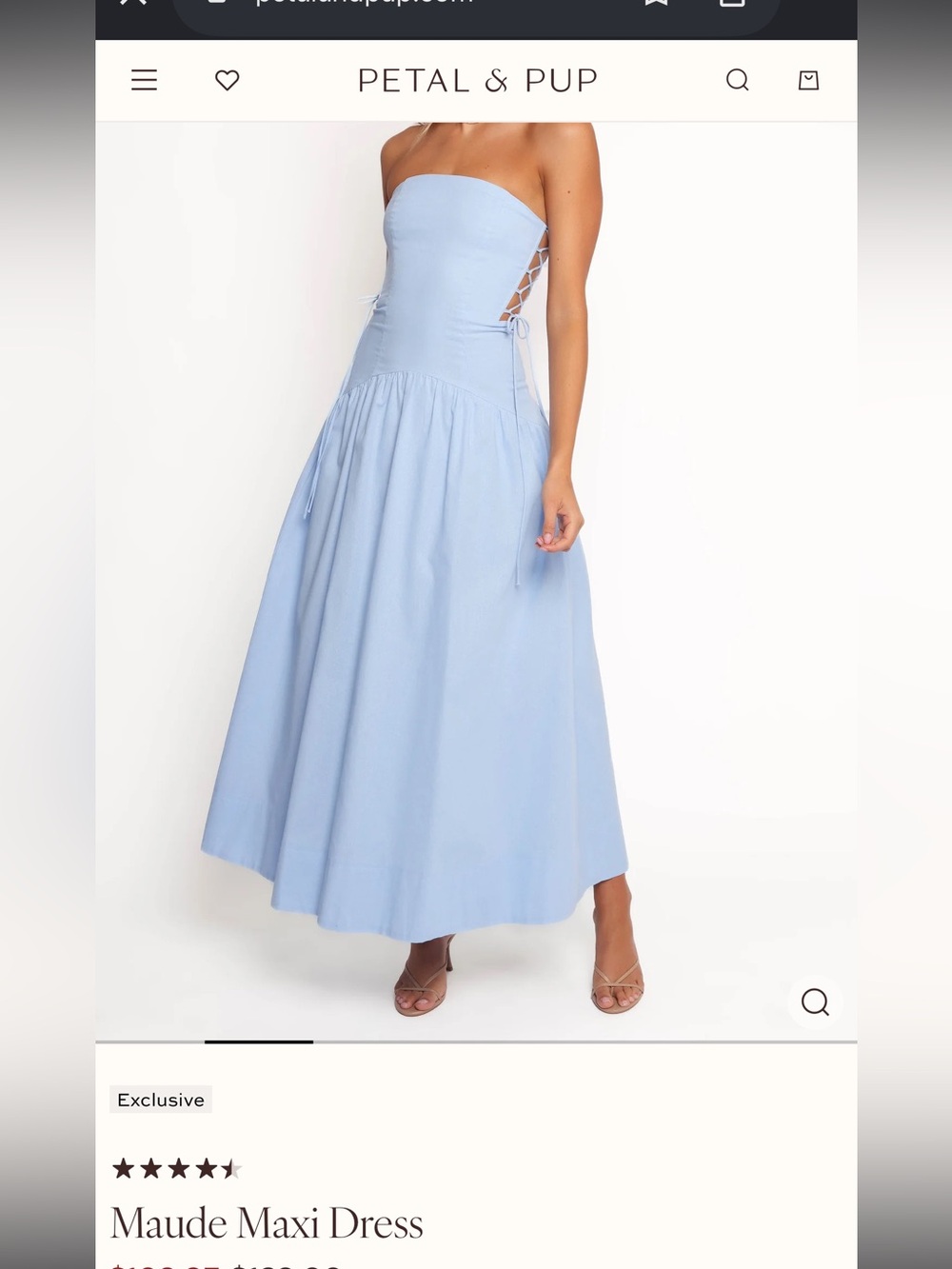 Petal & Pup Light Blue Strapless Lace-Up Maxi Dress